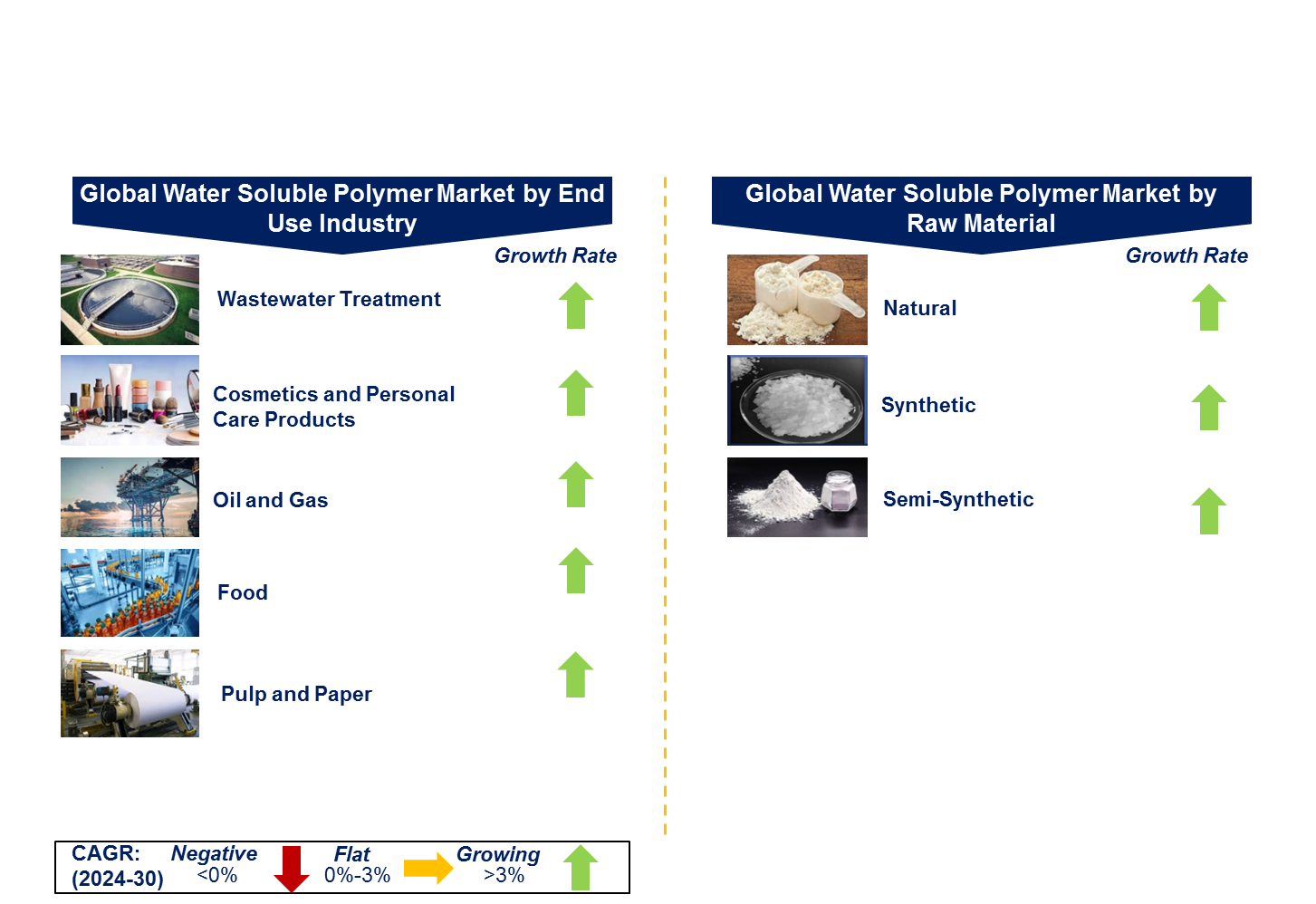 Water Soluble Polymer Market by Segment